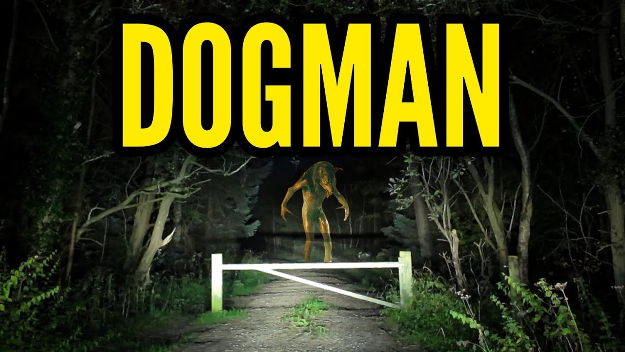 GOVERNMENT COVER-UP!!!  (7 bodies found)