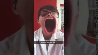 Whitney Houston 🎤