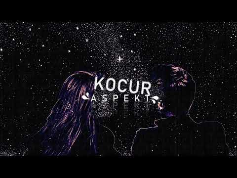 Kocur - Aspekt