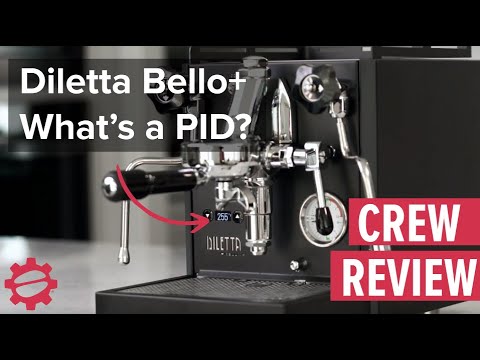 Diletta Bello+ with PID – What is a PID?!