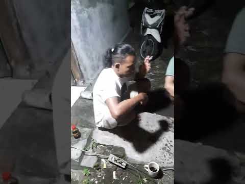 Bakar Bakar Lele, Buat Nonton Piala Dunia #pialadunia #qatar2022