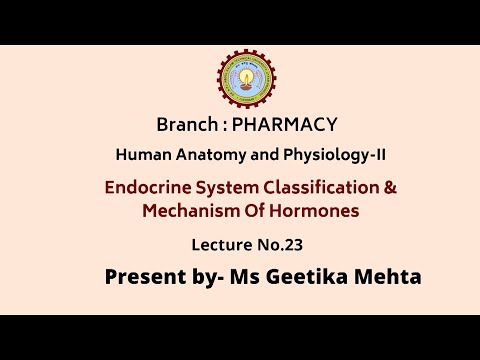 Endocrine System: Classification & Mechanism of Hormones