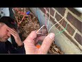 SABOTAGED Central AC Wire Was CUT HIDDEN You Won T Believe Who Did It