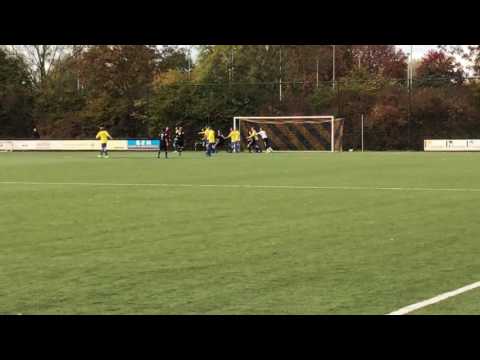 Korte samenvatting:  VRC  -  Scherpenzeel