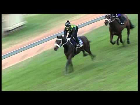 Vodacom Durban July 2013 Wagner Gallop