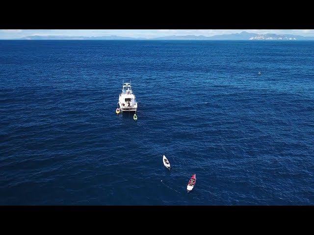 Kayak Fishing 50 Miles Out -- New Zealand Ep 6
