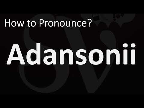 How to Pronounce Adansonii? (CORRECTLY)