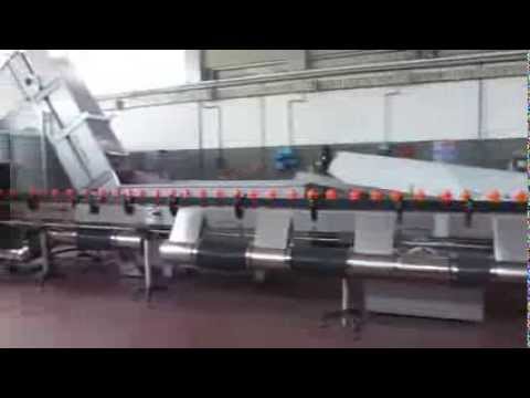 Fava Artemio - Riordinatore, Unscrambler 3350 E (1170)