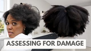 Blowdrying my natural hair for the first time in 10 years!