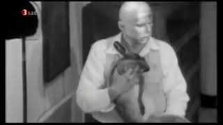 video - How to Explain Pictures to a Dead Hare