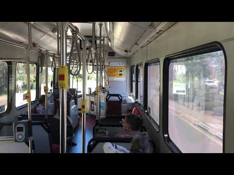 Sydney Buses 1806 [1806 ST]  • Mercedes Benz O500LE CNG (Loud ZF Ecomat)