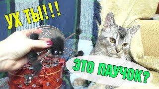 Новый питомец Сладуна и Кевы