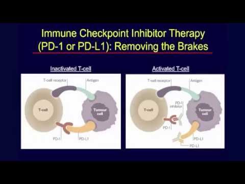 Clinical Trials of Immune Checkpoint Inhibitors as First Line Therapy for Advanced NSCLC