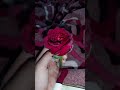 Simplicity In Life Love Without Distance Shortsvideo