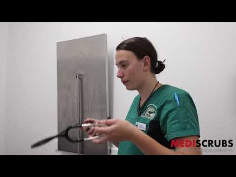 Our Visit to Cangura Vet