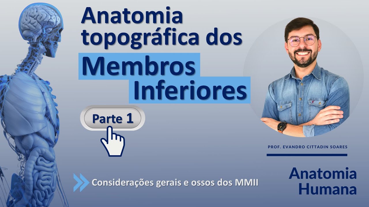ANATOMIA TOPOGRÁFICA DOS MEMBROS INFERIORES - PARTE 1 - CONCEITOS GERAIS E OSSOS DOS MMII