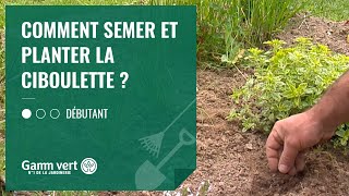 Click here to play the video