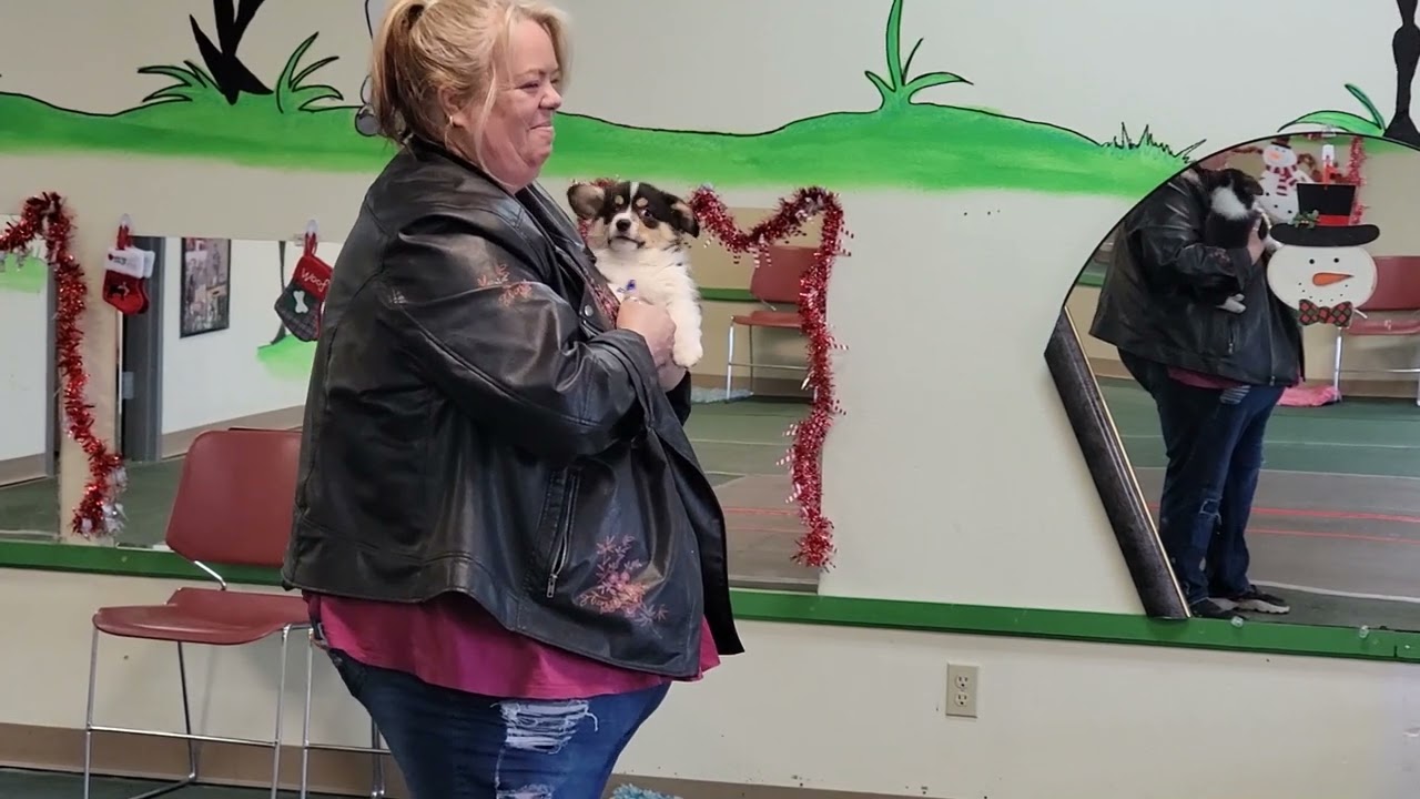 Temperament Testing Explained ~ Puppy 1