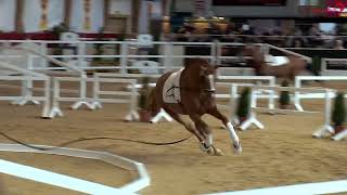 Video von De Dembélé