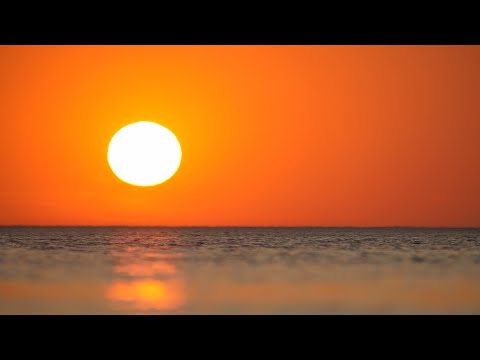 Arkipel, Pt. II: Beach (feat. Lola Rhodes) [Lyric Video]