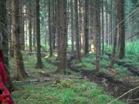 Sommarcupen 2010 Ersbo