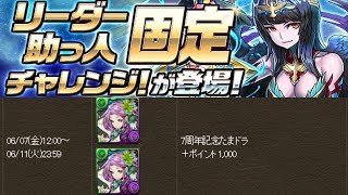 [리더 고정 챌린지 2] 도서실 칼리 리더 고정 pt.