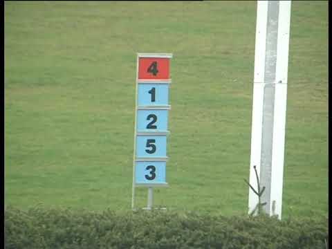 KO, 2. 11. 2019, 4. dostih - Cena společnosti „ Dům u černého koně“