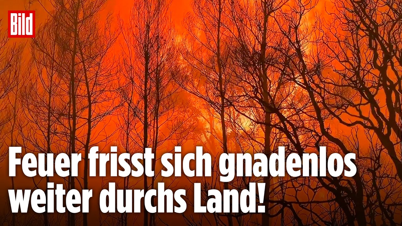 SPANIEN: Feuer-Hölle außer Kontrolle – Einsatzkräfte an der Belastungsgrenze!