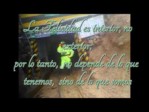 EL TRI triste cancion de amor BETZAIDA