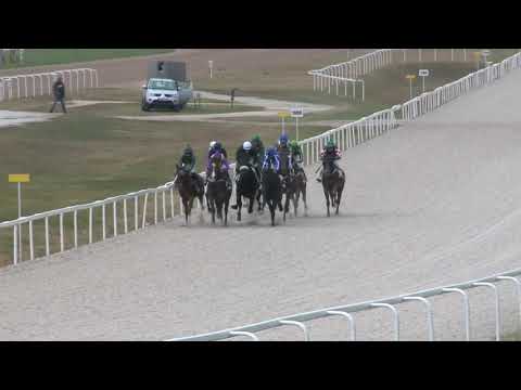 2018.10.21. 04. futam - NYERETLENEK VERSENYE (V.kat.) (szintetikus pálya)