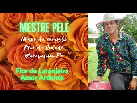 Flor Da Laranjeira (fui No Limaoeiro) - Conjunto de Carimbó Flor da Cidade