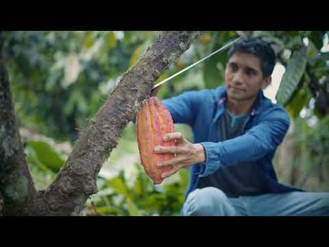 Las Naves, un cuerpo vivo