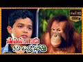 Sahasa Baaludu Vichitra Kothi Telugu Full Movie Vijay Shanti Sarath Babu 90 ML Movies