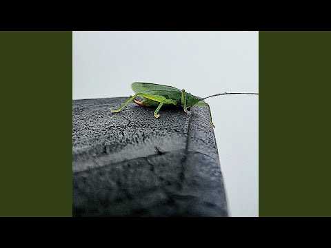 拖泥帶水意思