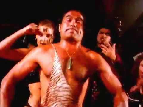 Headless Chickens- #DondeEstaLaPollo?