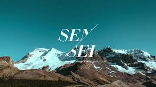 Animals as Leaders  - The Price of Everything (Crushfield Remix)