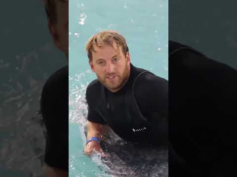 Wave pool offers incredible progression opportunity