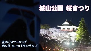 花めぐりツーリング 城山公園と江合川堤防桜並木 HONDA XL750 TRANSALP