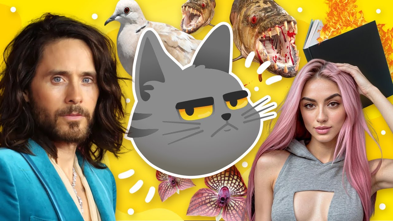 30 Curiosidades Que No Sabías Hace 5 Minutos 😾 | 14