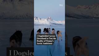 A Planes, a Boat and 16 Dogs: Mapping Trump’s Greenland Ambitions