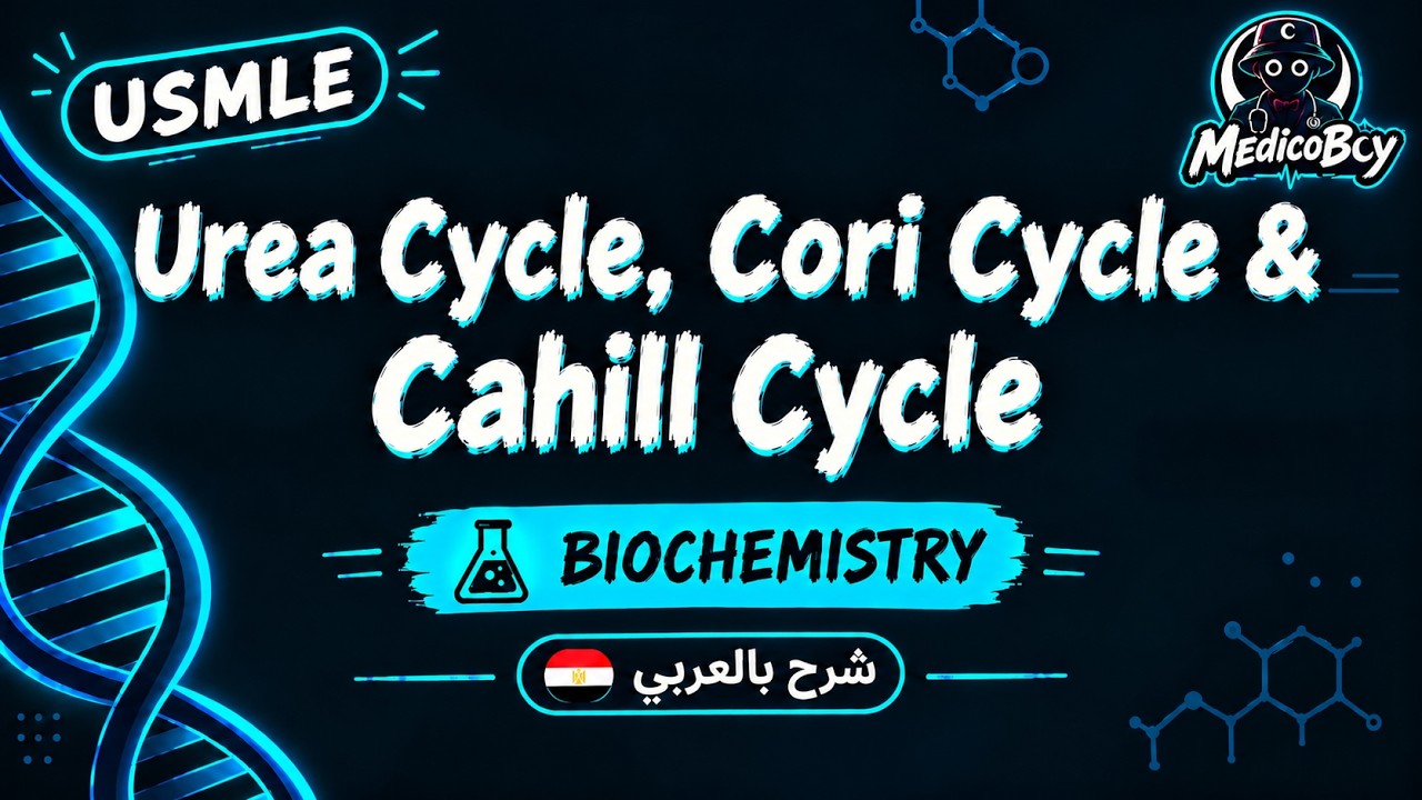 Urea Cycle, Cori Cycle & Cahill Cycle | USMLE Step 1 | شرح بالعربي