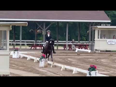 Autumn and Dante, FEI Children’s Individual 74.8, 7/17/22 Waterloo