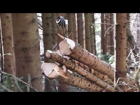 HOLZERNTE - HOLZ FÄLLEN #02