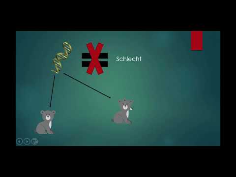 Mutation und Rekombination