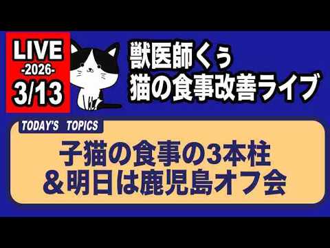 【猫の食事改善ライブ】子猫の食事の3本柱＆明日は鹿児島オフ会【アーカイブは3/13まで】