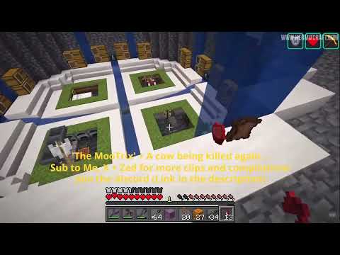 ''The Mootrix'' + Accidental Cow Murder - Hermitcraft Moments