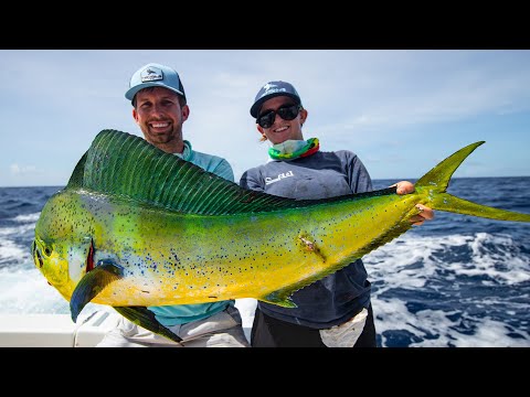Deep Sea Fishing in Miami (Dolphin, Wahoo, Amberjacks, and Tripletail)