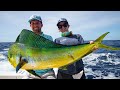 Deep Sea Fishing In Miami Dolphin Wahoo Amberjacks And Tripletail