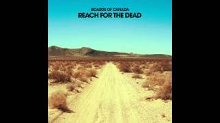 Reach For The Dead (Boards of Canada Guitar Cover)