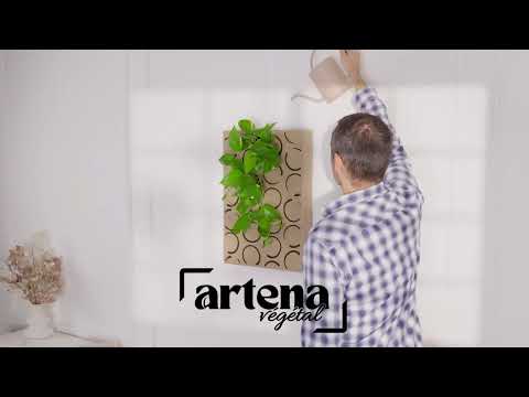 Vidéo Artena Végétal